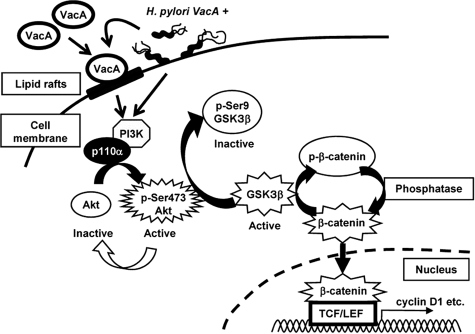 FIGURE 9.