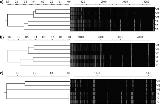 FIG. 7.