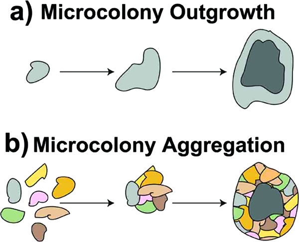 FIG. 8.