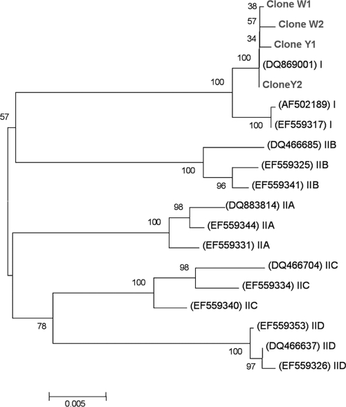 FIG. 5.