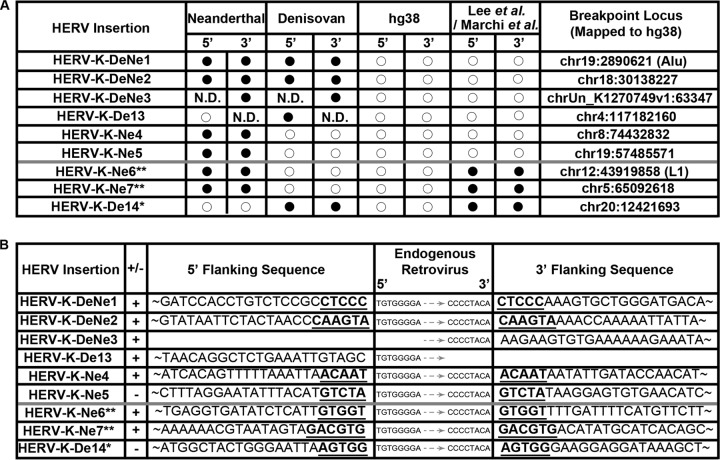 FIG 1