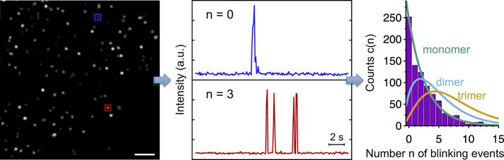 FIGURE 1: