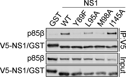 FIG 2