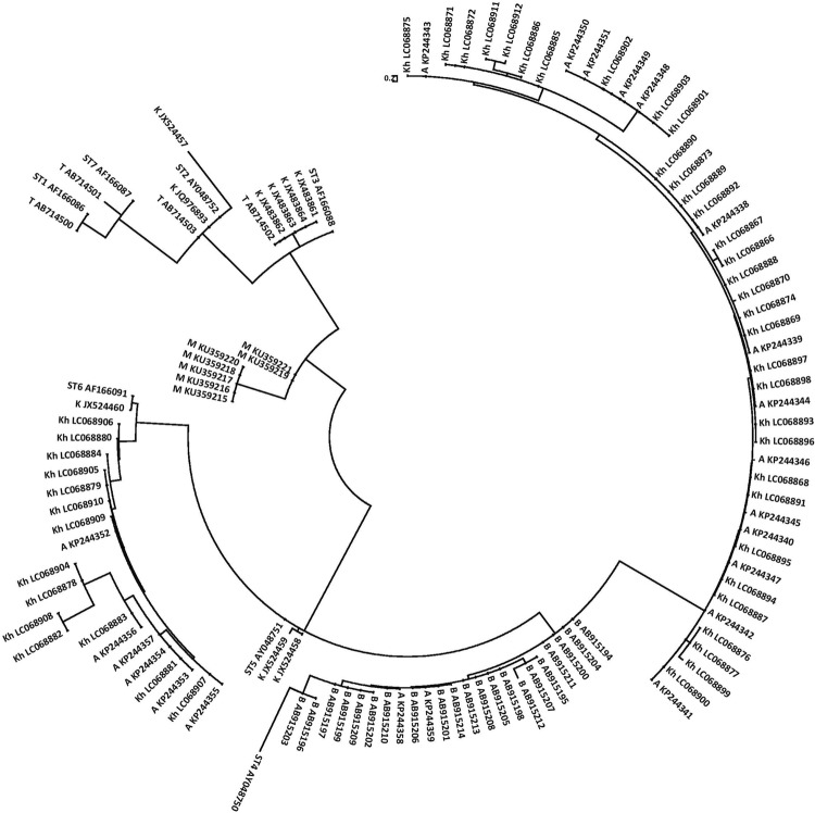 Fig. 1