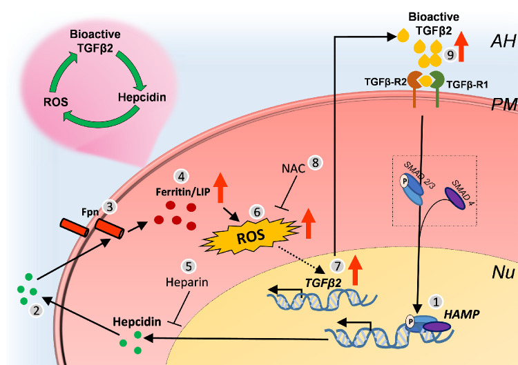 Figure 6.