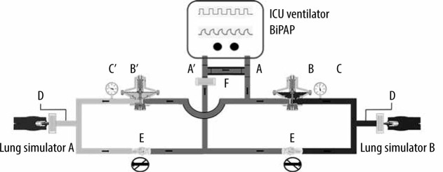 FIGURE 2