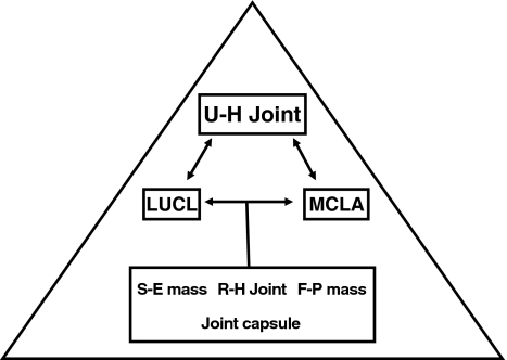 Fig. 1