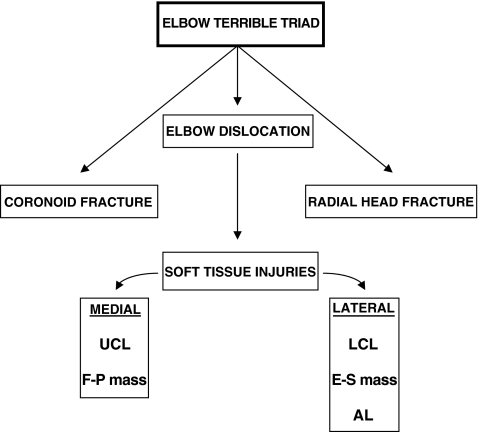 Fig. 3