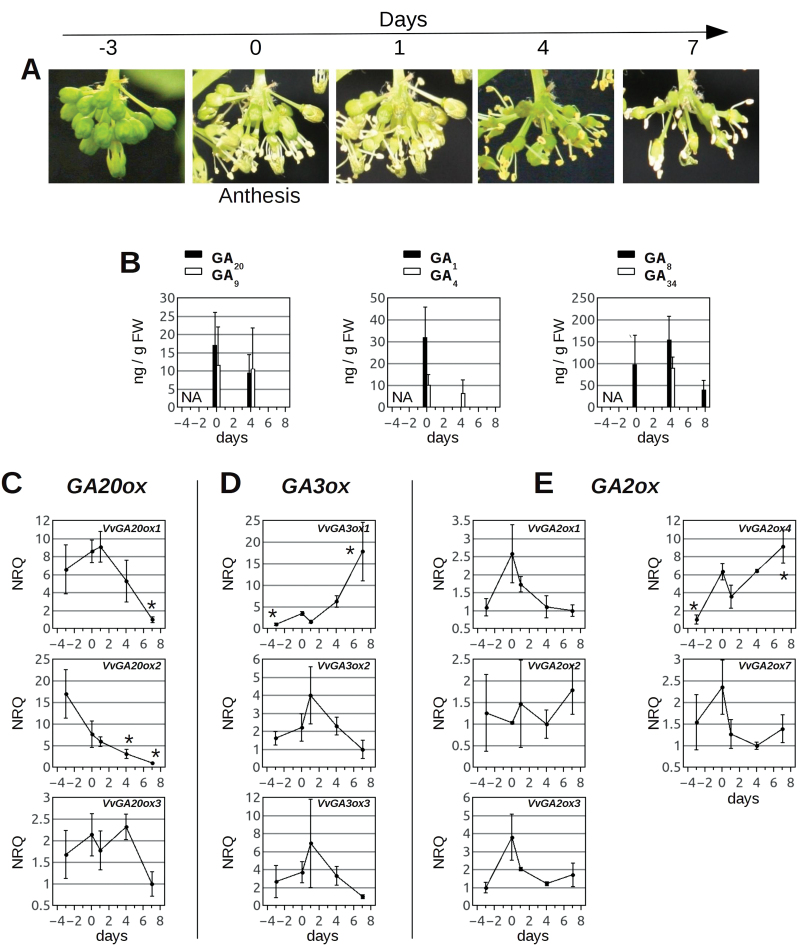 Fig. 6.