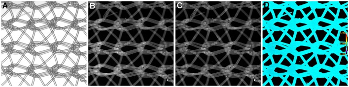 Figure 4