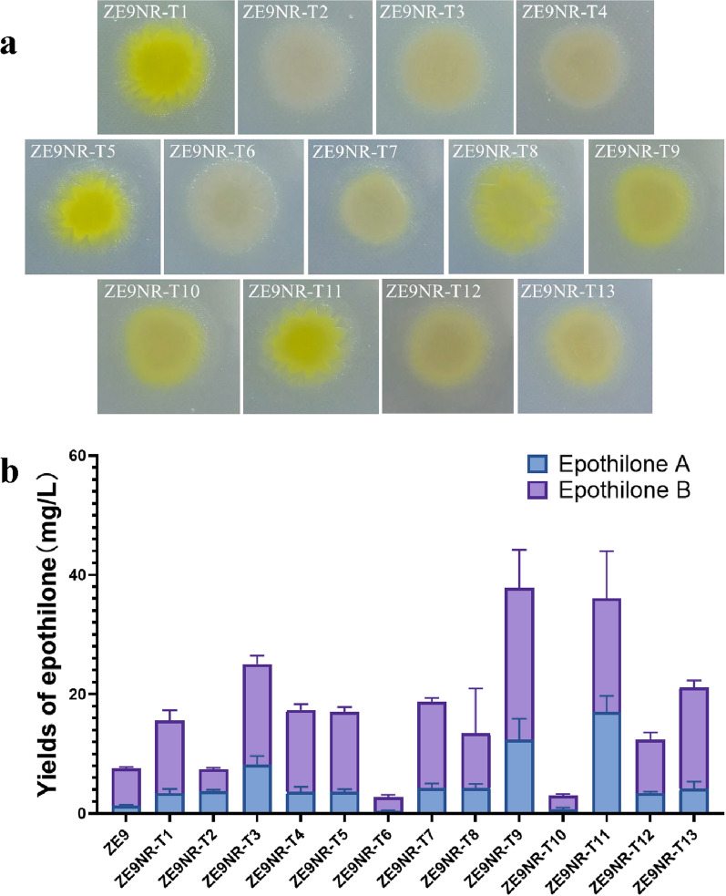 Fig. 3