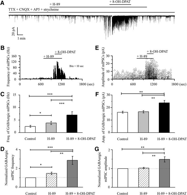 Figure 14.