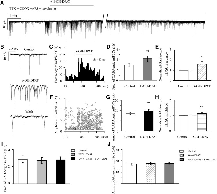 Figure 11.