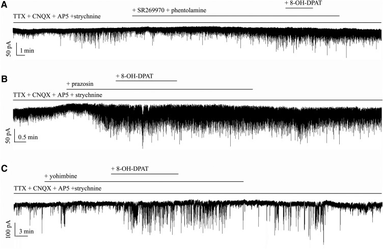 Figure 13.