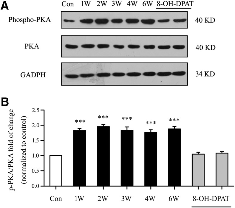 Figure 16.