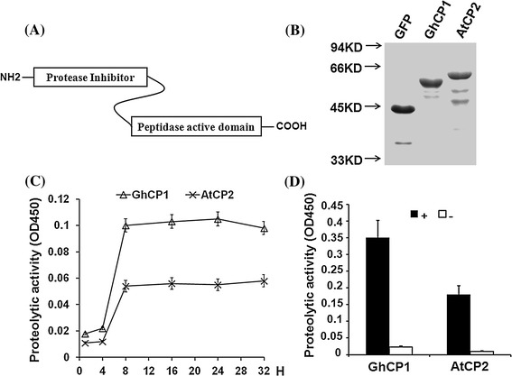 Fig. 2