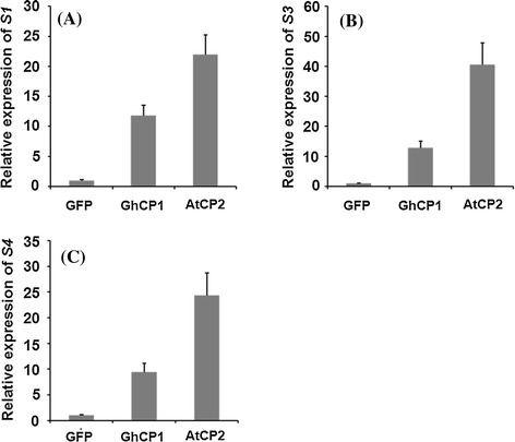 Fig. 4