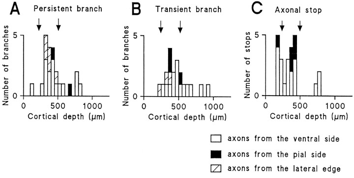 Fig. 9.