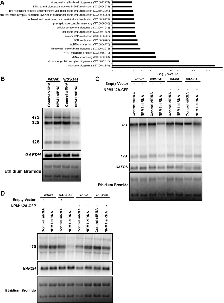 Fig 5