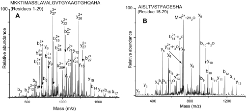 Fig. 10.