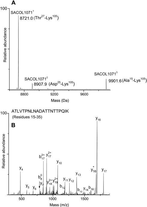 Fig. 9.