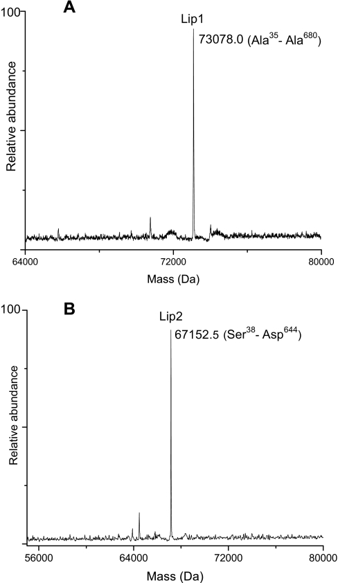 Fig. 7.