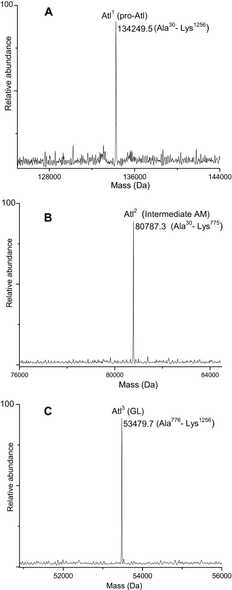 Fig. 8.