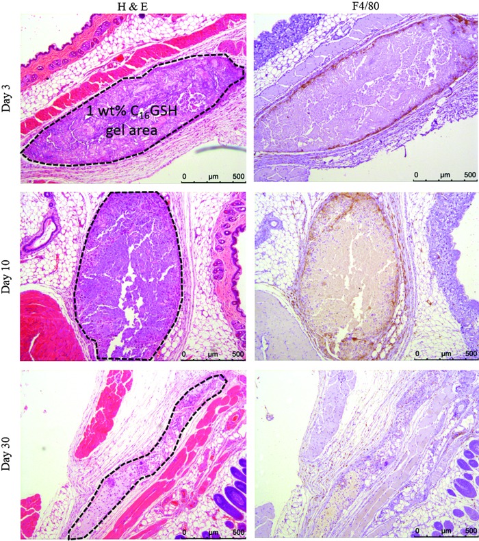 FIG. 7.