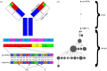 Figure 1.