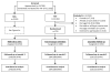 Figure 1b