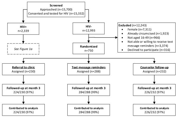 Figure 1b