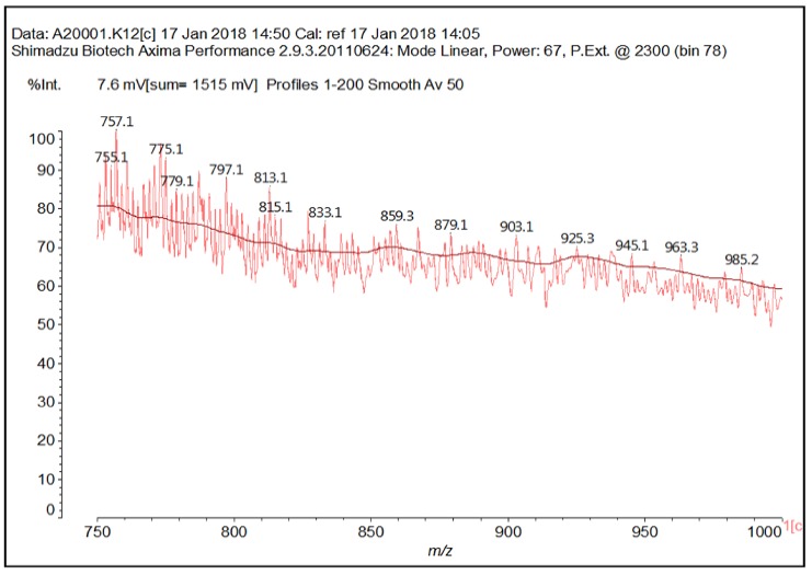 Figure 11