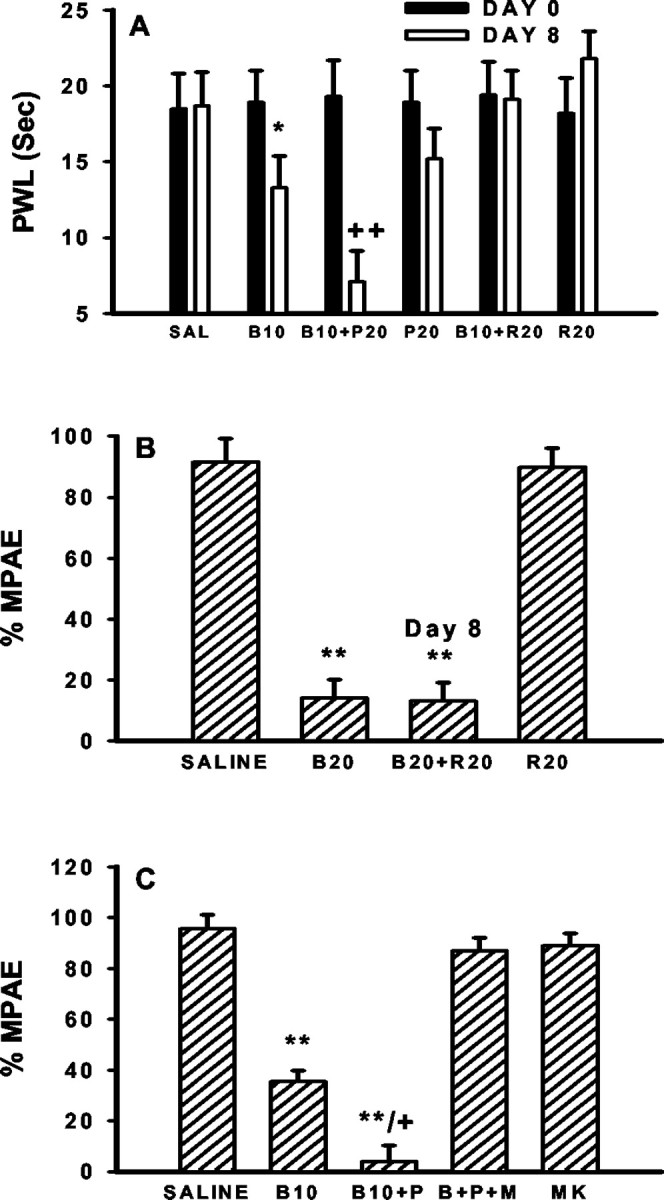 Fig. 9.