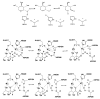 Figure 19