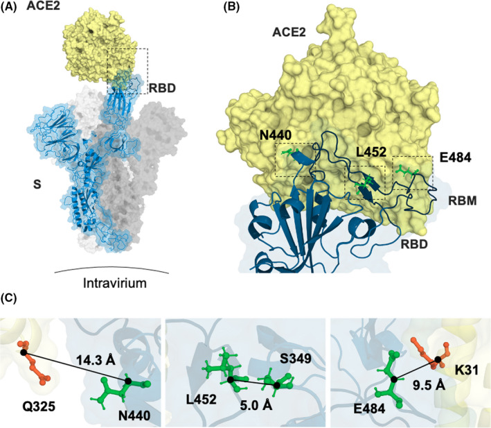 FIGURE 1