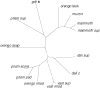 Fig. 12.