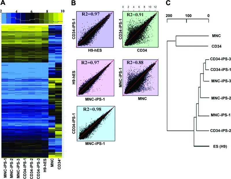 Figure 2.