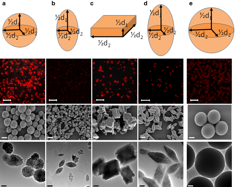 Fig. 1