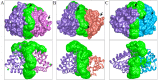 Fig 7