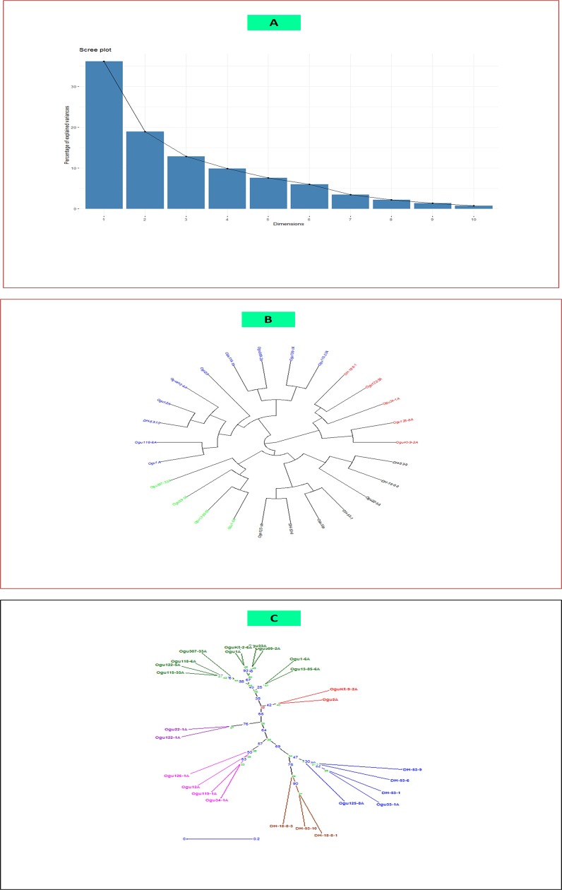 Fig 1