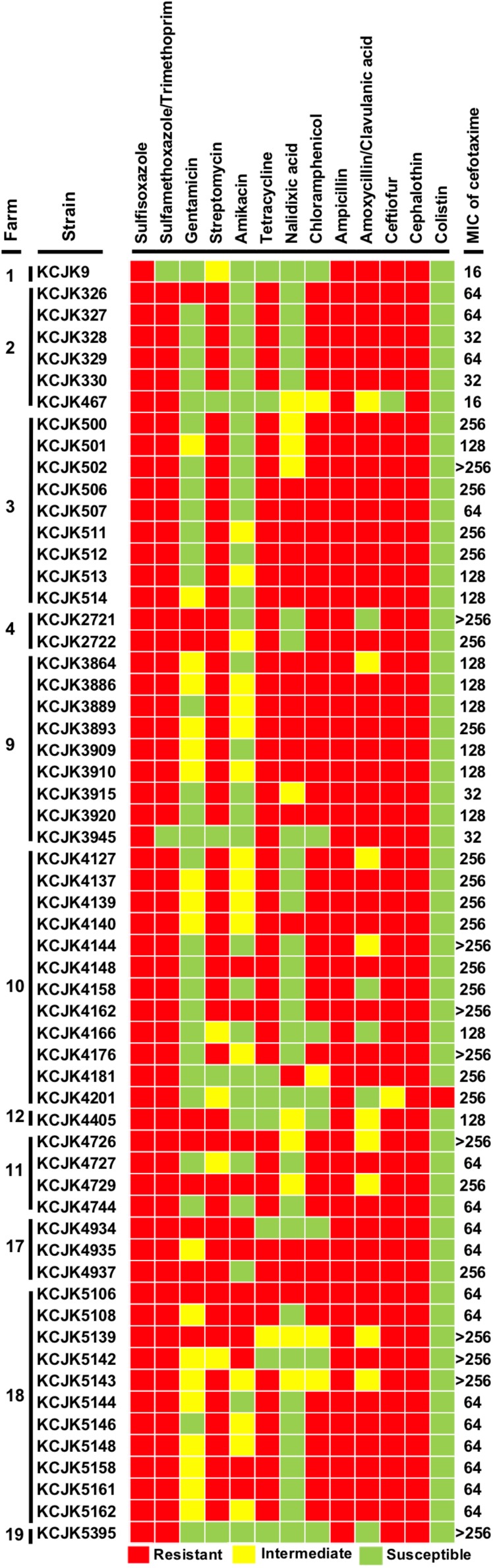 FIGURE 3