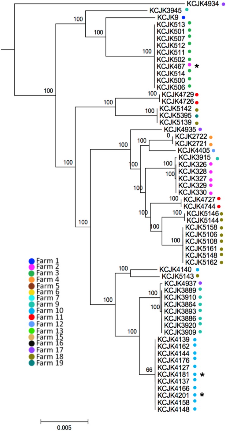 FIGURE 2