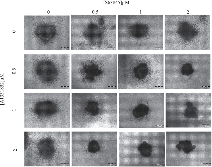 figs2