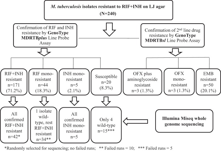 FIG 1