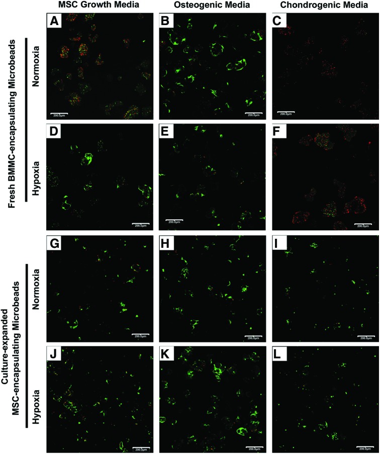 FIG. 4.