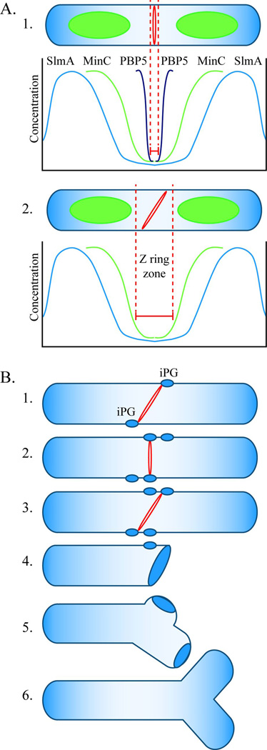 Fig. 9