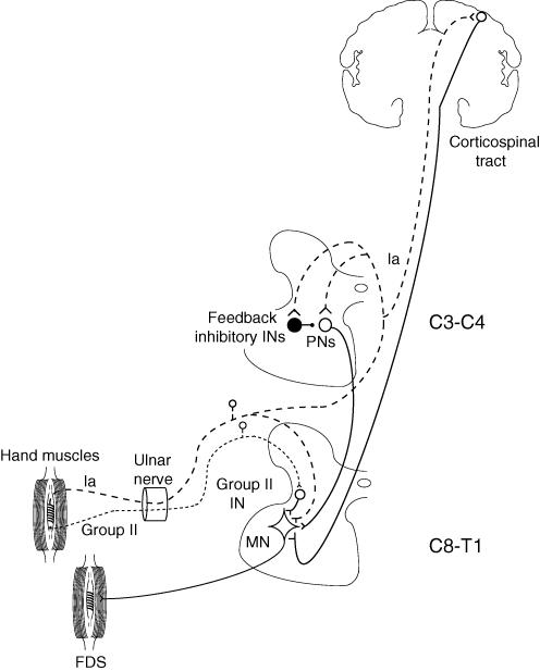 Figure 8