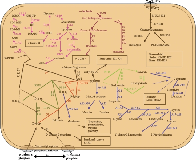 Fig. 6.