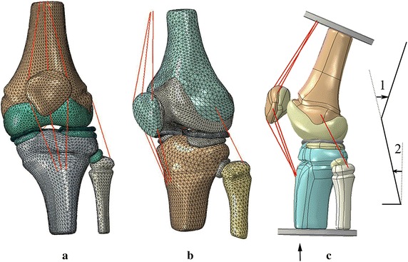 Fig. 3