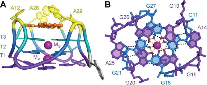 Figure 2 ∣